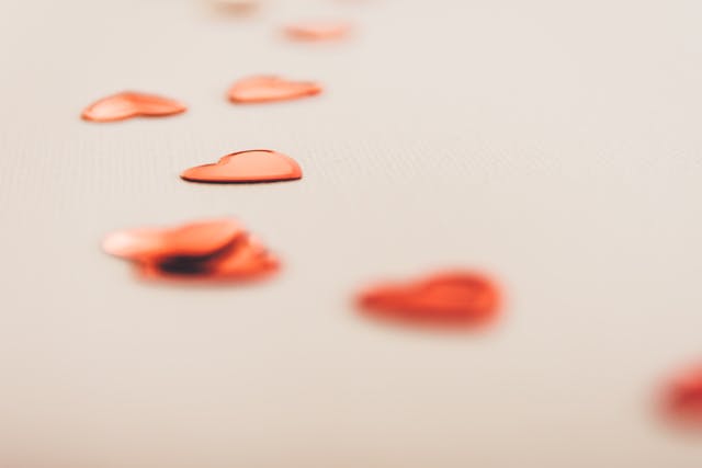 pexels-lucianphotography-3693393.jpg